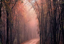 华体会体育:今日CCTV5直播,吴艳妮等出战+F1中国赛,5大赛事齐聚U22国足+CBA辽篮.