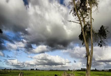 斯诺克单赛季世界排名:特鲁姆普高居榜首,丁俊.