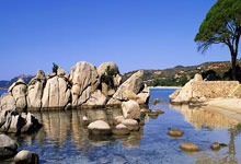 华体会体育：[NBA]哈利伯顿关键三分 步行者逆转国王.